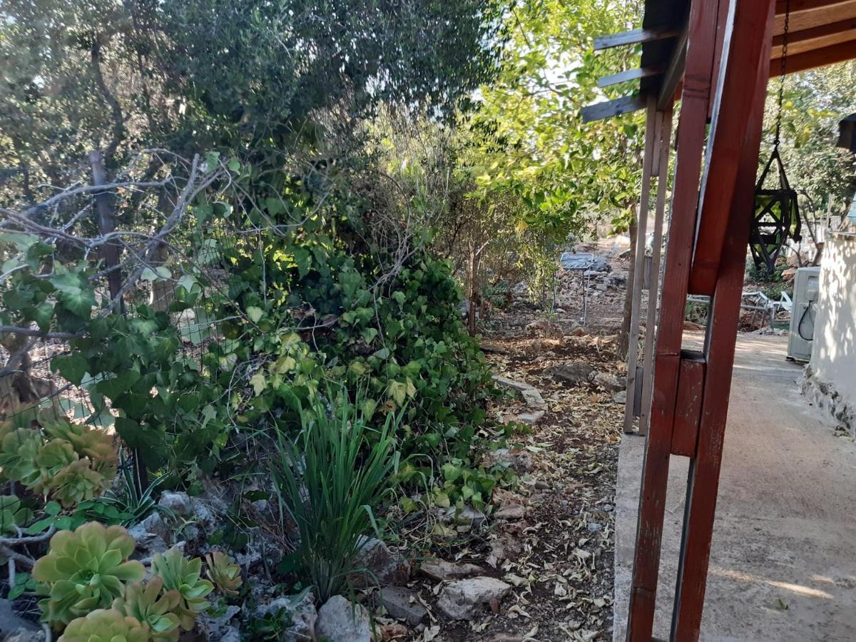 בקתת עץ בחורש במנות - דום גיאודזי - Wooden Cabin In Manot Εξωτερικό φωτογραφία