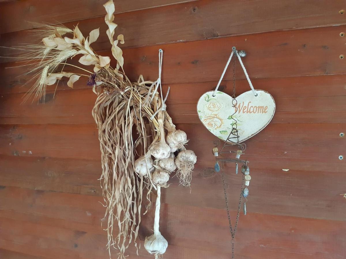 בקתת עץ בחורש במנות - דום גיאודזי - Wooden Cabin In Manot Εξωτερικό φωτογραφία