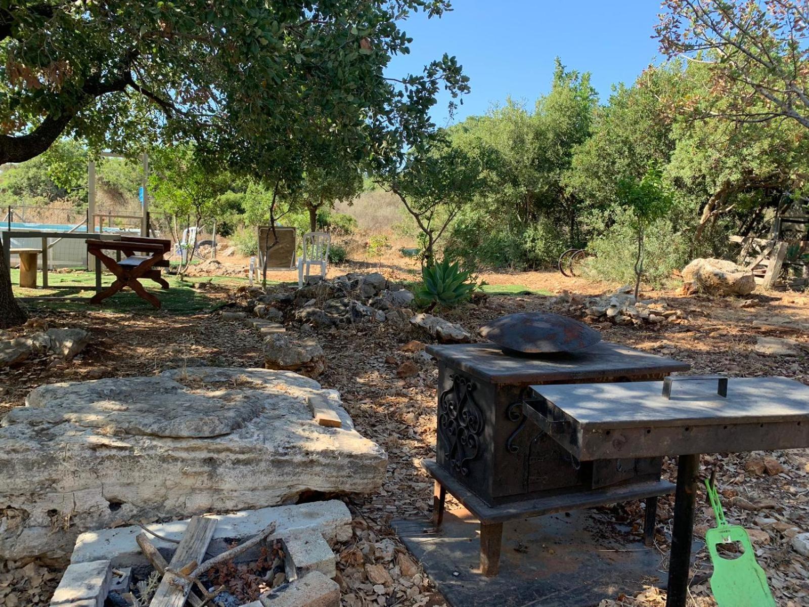 בקתת עץ בחורש במנות - דום גיאודזי - Wooden Cabin In Manot Εξωτερικό φωτογραφία