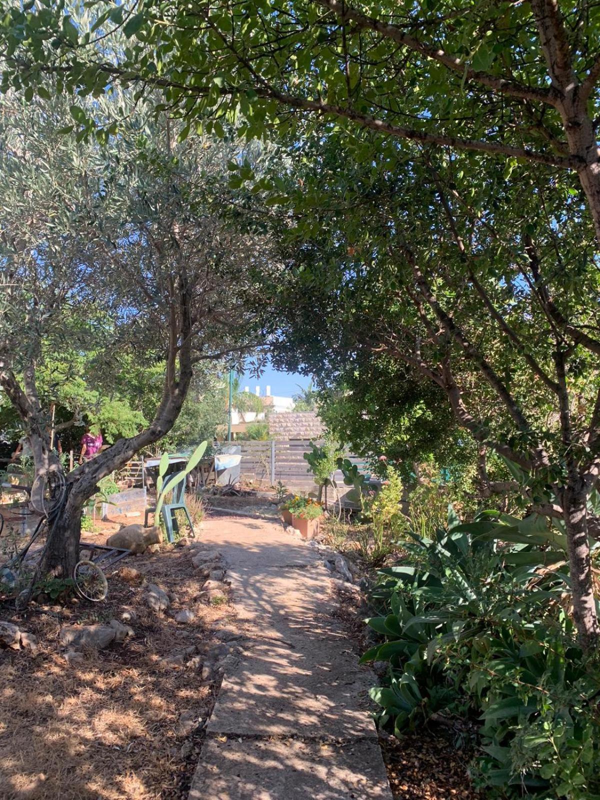 בקתת עץ בחורש במנות - דום גיאודזי - Wooden Cabin In Manot Εξωτερικό φωτογραφία